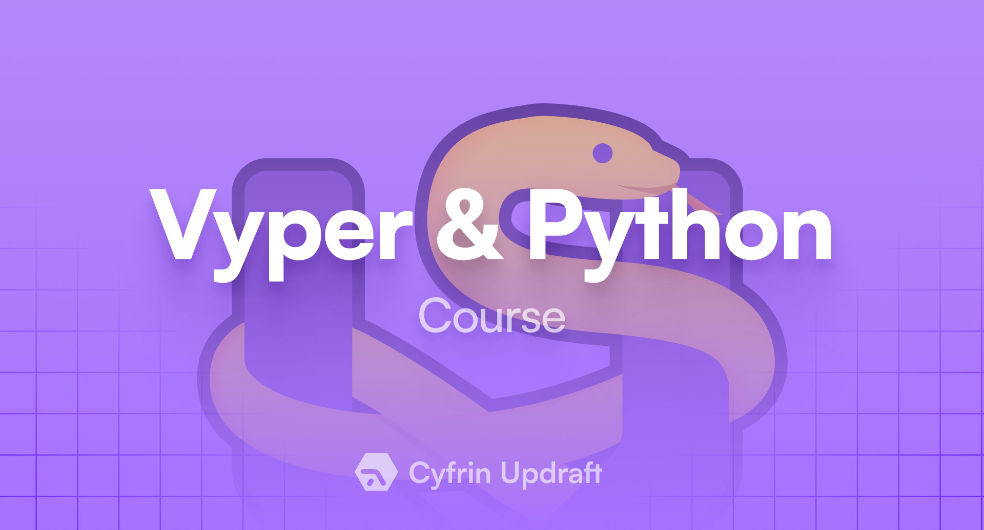 Introduction to Python and Vyper